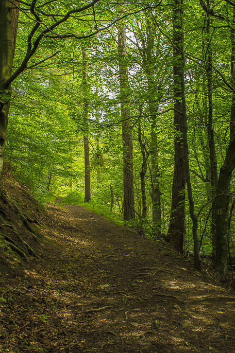 Abney Clough Abney Clough